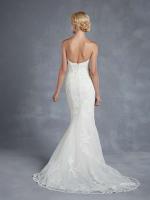 BJ- Blue 15 Hidalgo back